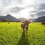 Alpenhof & Spa, Signature Collection By Bw 4*