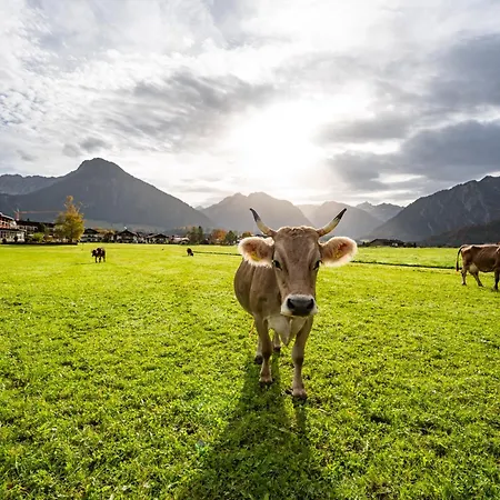 Western Alpenhof 4*