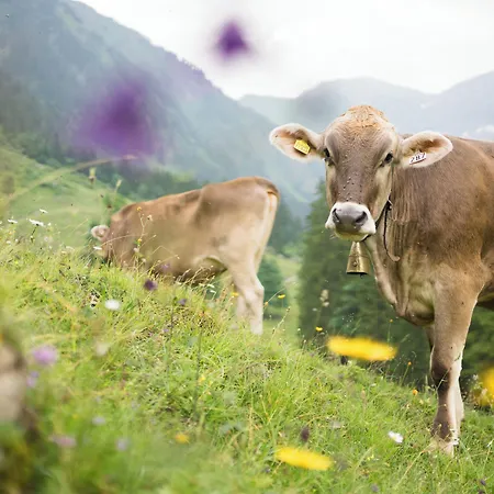 Alpenhof & Spa, Signature Collection By Bw Hotel
